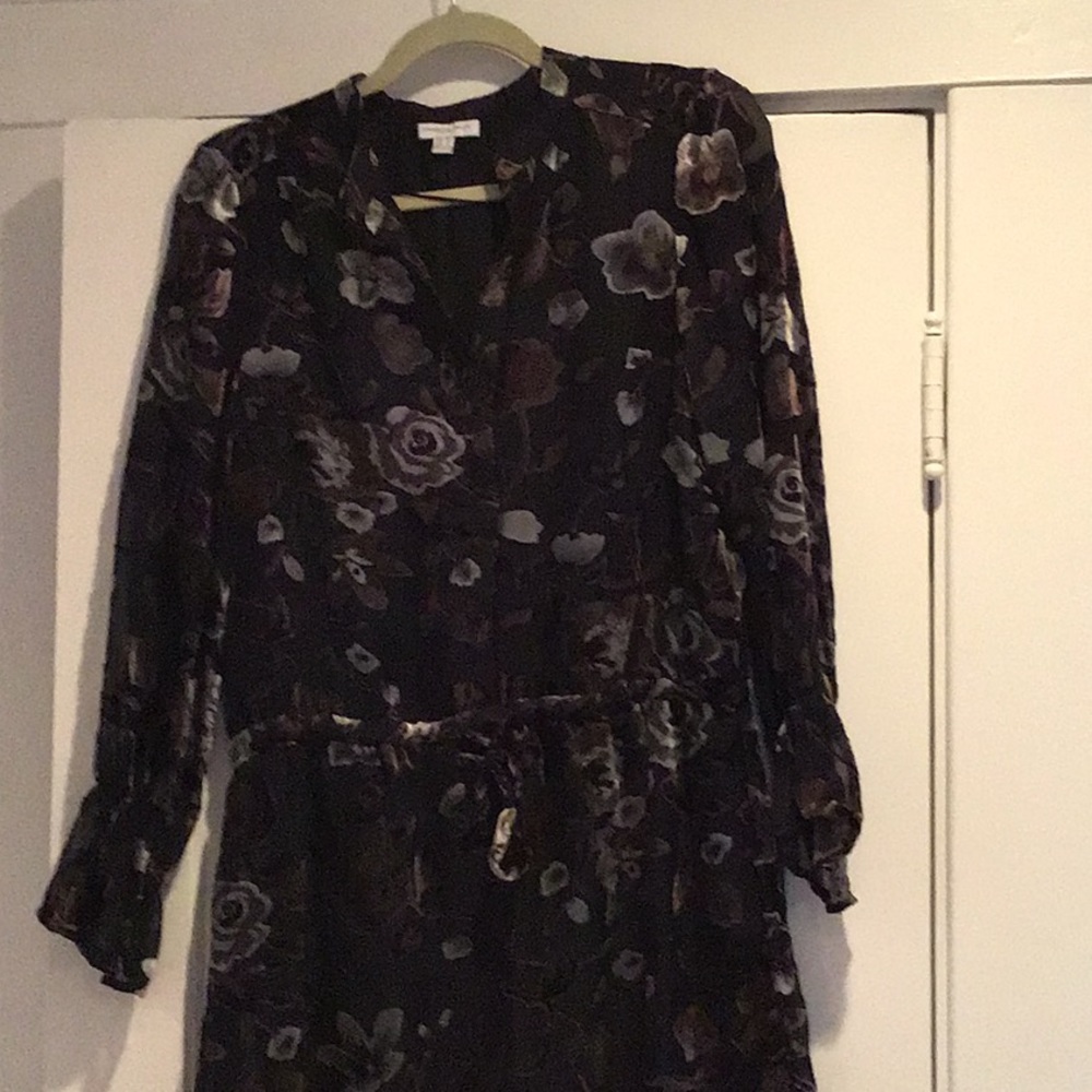 Dress, with velvet embellishments